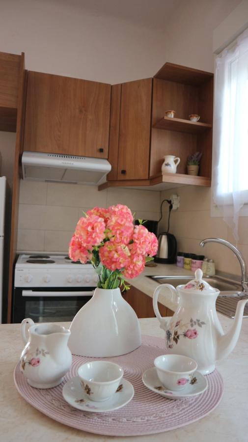 Artemis House Apartment Agios Nikolaos  Ngoại thất bức ảnh