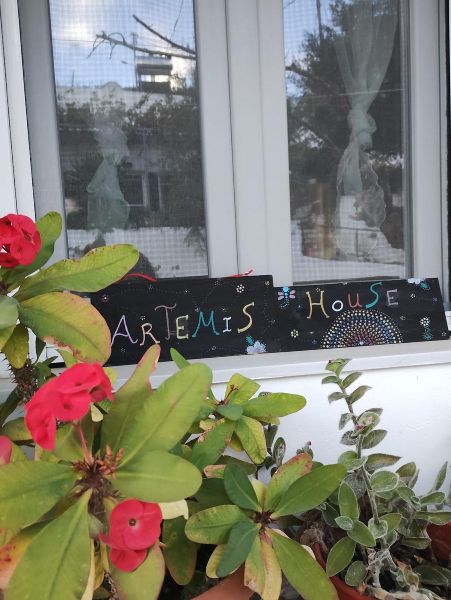 Artemis House Apartment Agios Nikolaos  Ngoại thất bức ảnh